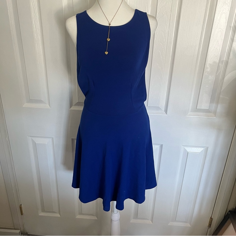 American Apparel Cobalt Blue Sleeveless Mini Dress‎